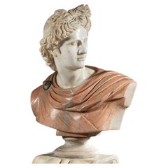 Buste en marbre de Carrare de l'école italienne Apollo Belvedere, début du 20e siècle