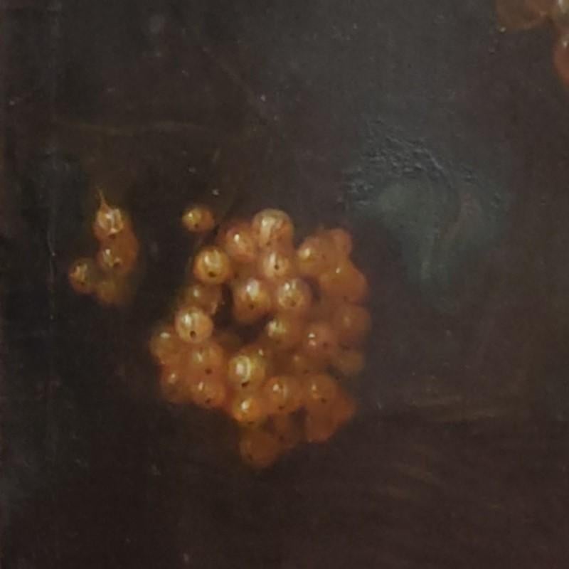 Old Master Still life Grapes and Fruit  Italian School 18th C. - Brown Still-Life Painting by Unknown