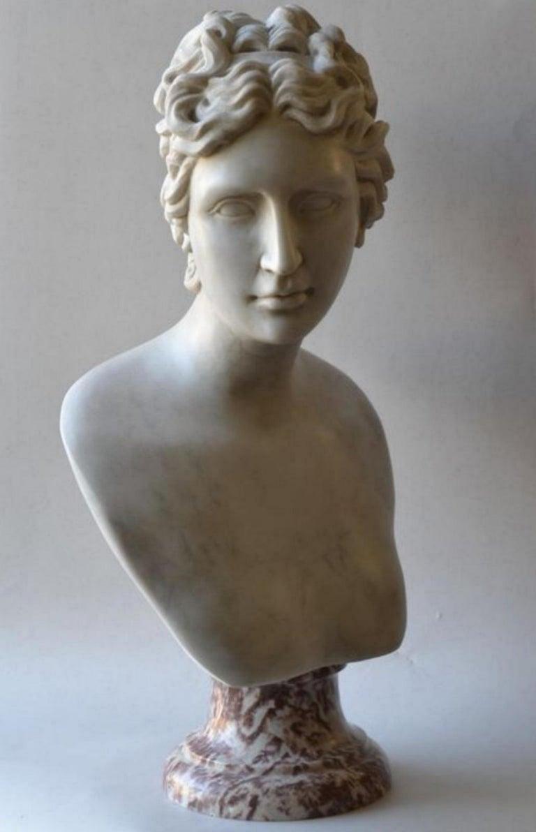 Italienische Skulptur „Venere Medici“-Kopf aus Marmor des 20. Jahrhunderts (Handgeschnitzt) im Angebot