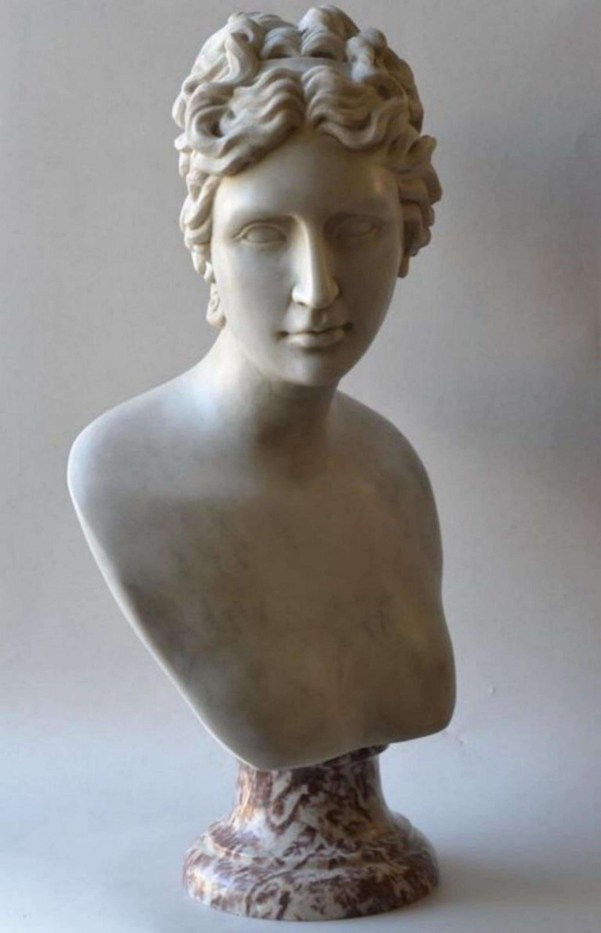 Italienische Skulptur „Venere Medici“-Kopf aus Marmor des 20. Jahrhunderts im Angebot 3