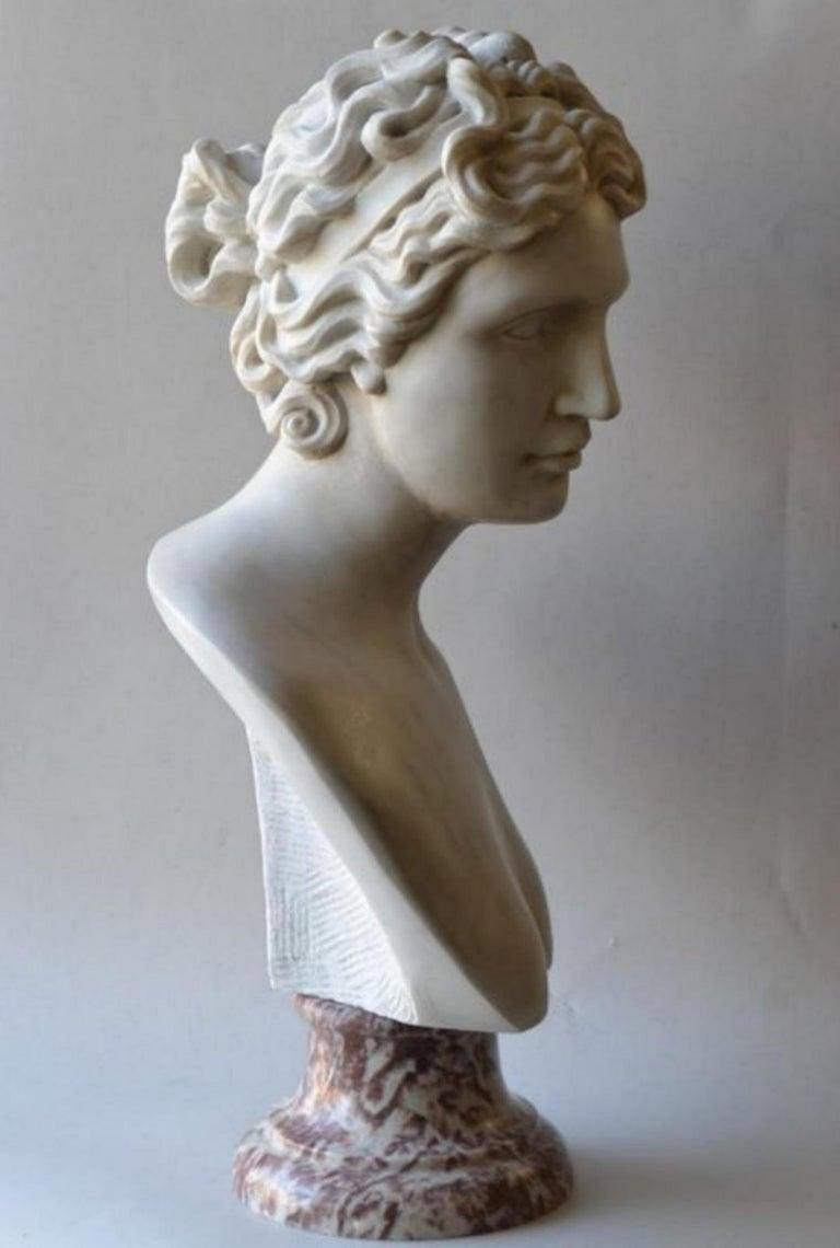 Italienische Skulptur „Venere Medici“-Kopf aus Marmor des 20. Jahrhunderts im Angebot 4