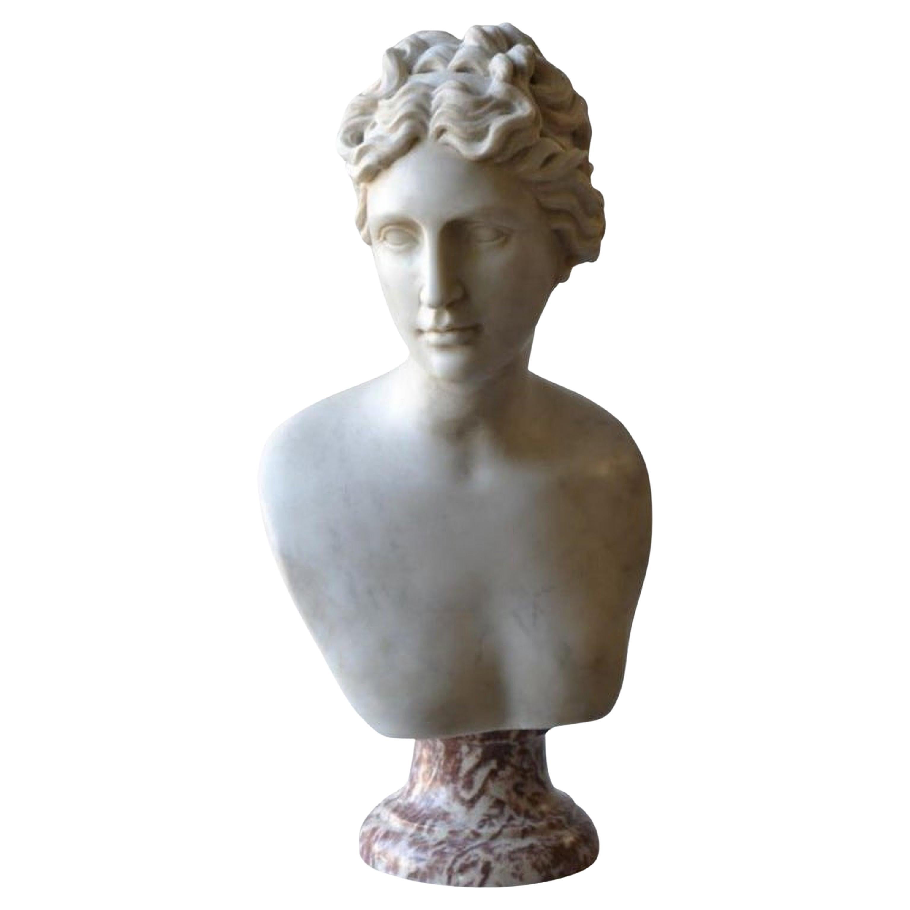 Italian Sculpture "Venere Medici" Head Begin 20th Century Marble