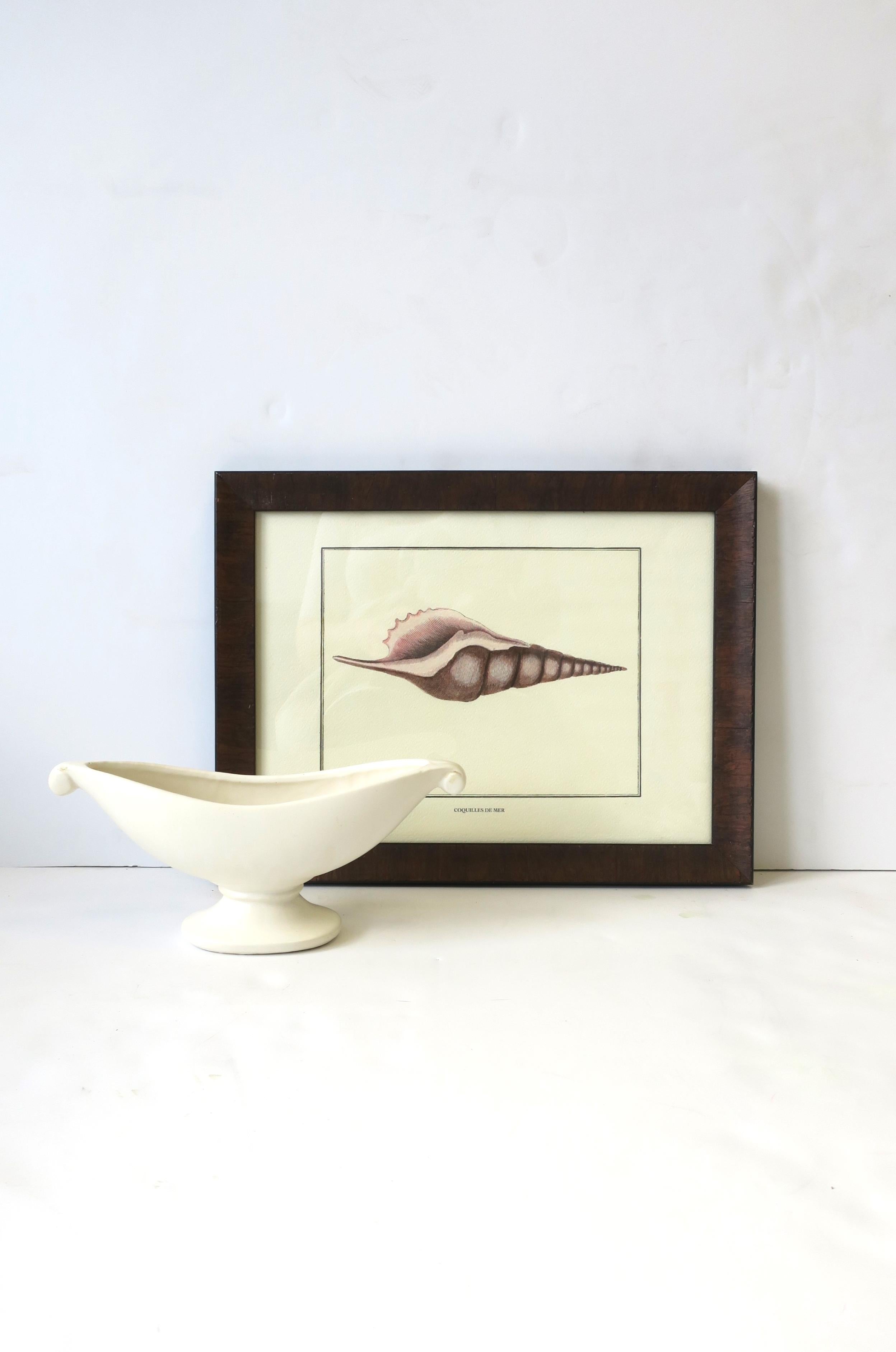 Italian Seashell Print Artwork Wall Art In Good Condition For Sale In New York, NY