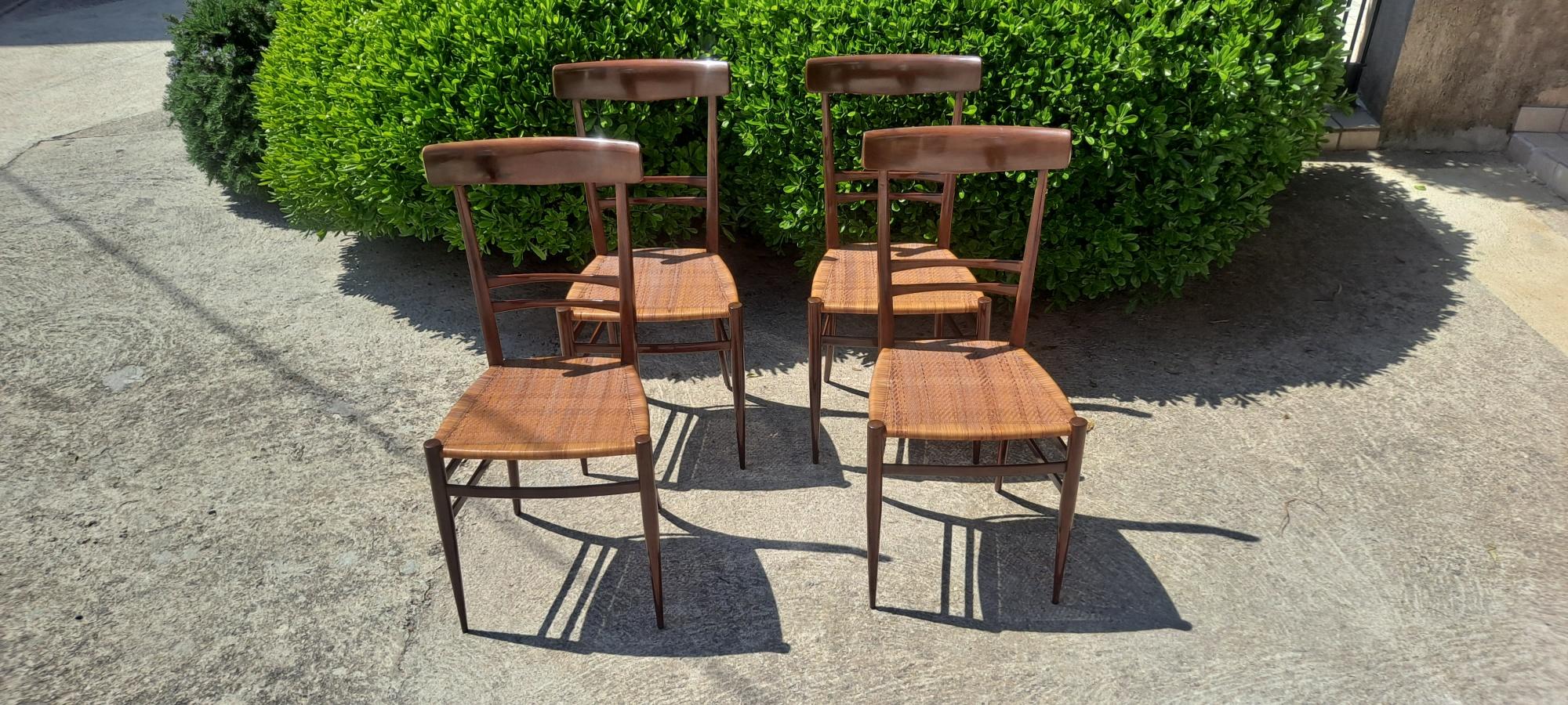Mid-Century Modern Italian Set of Four Leggera  Chairs  Attribuited to Gio Ponti  For Sale