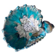 Italian Shell ceramic