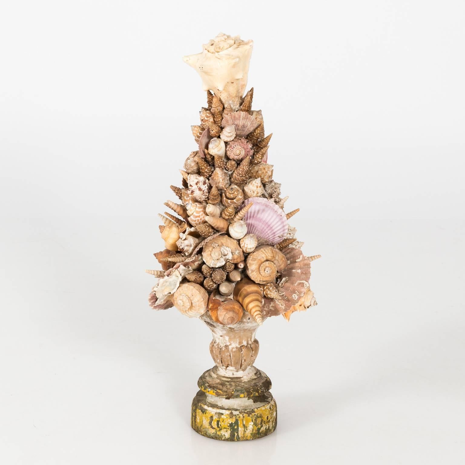 Decorative shell tabletop centrepiece on an 18th century Italian wood fragment base.
 