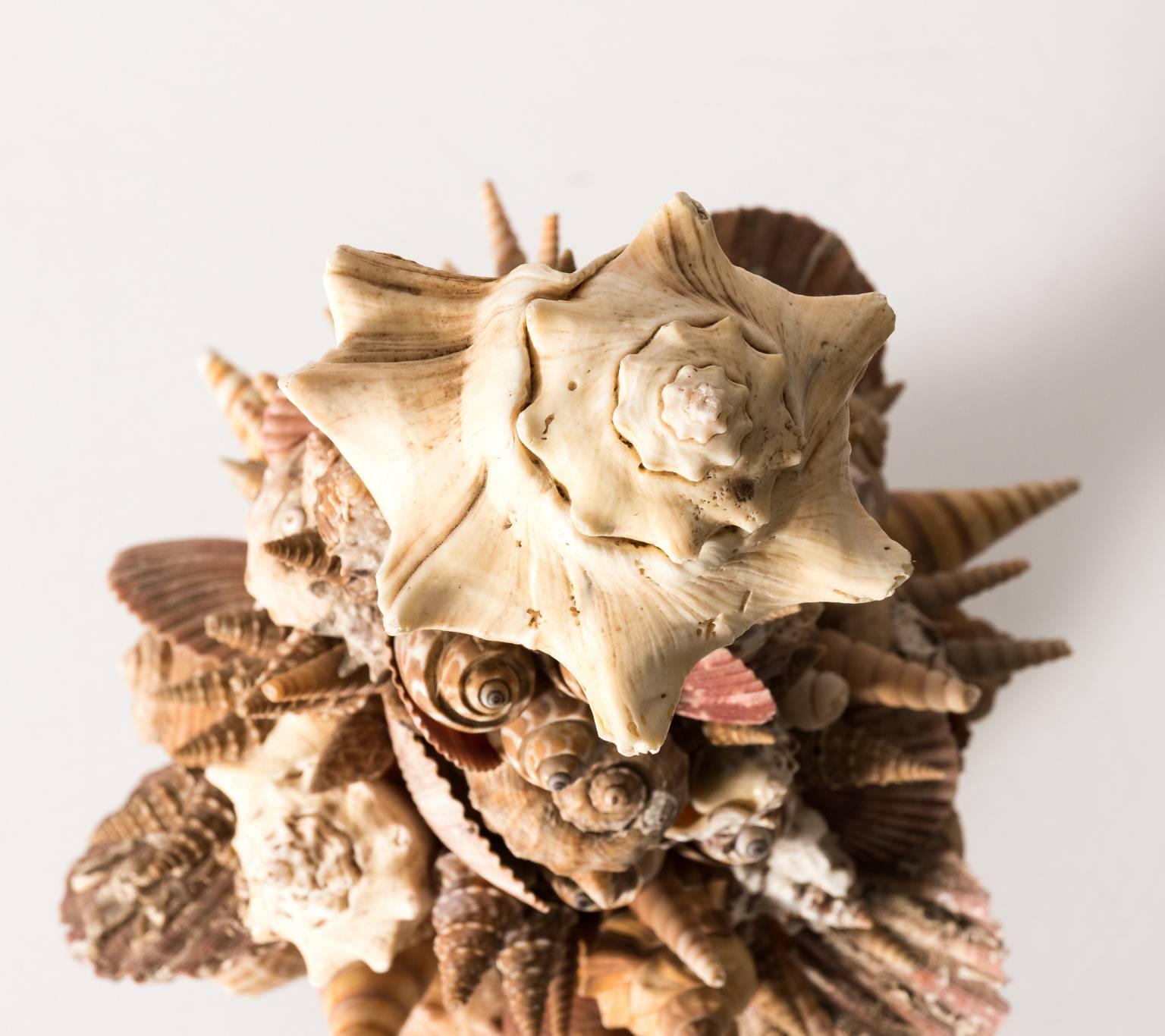 Italian Shell Table Centrepiece In Good Condition In Stamford, CT