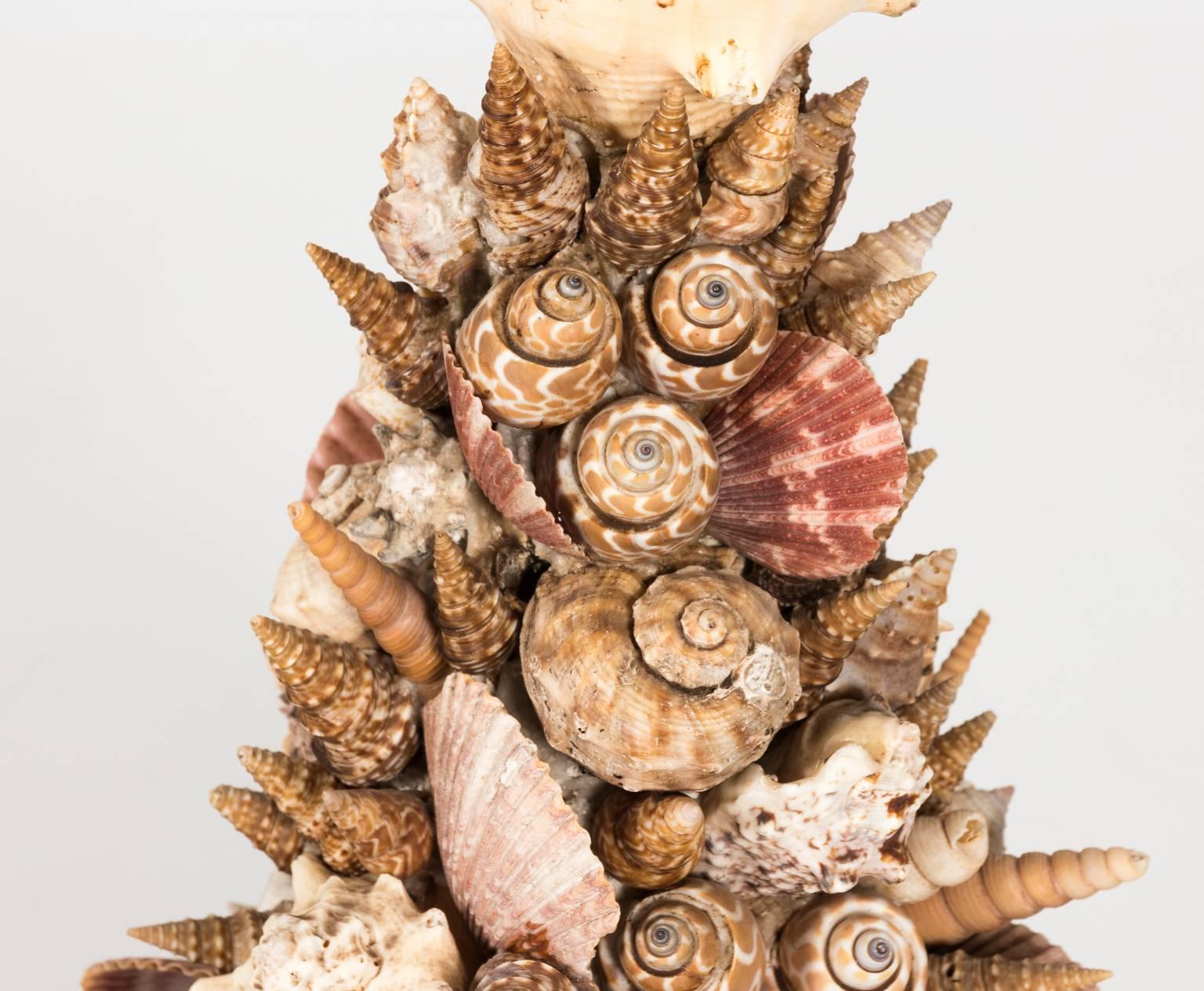18th Century and Earlier Italian Shell Table Centrepiece