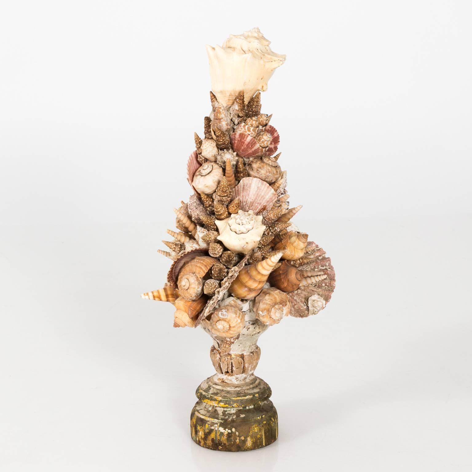 Italian Shell Table Centrepiece 3