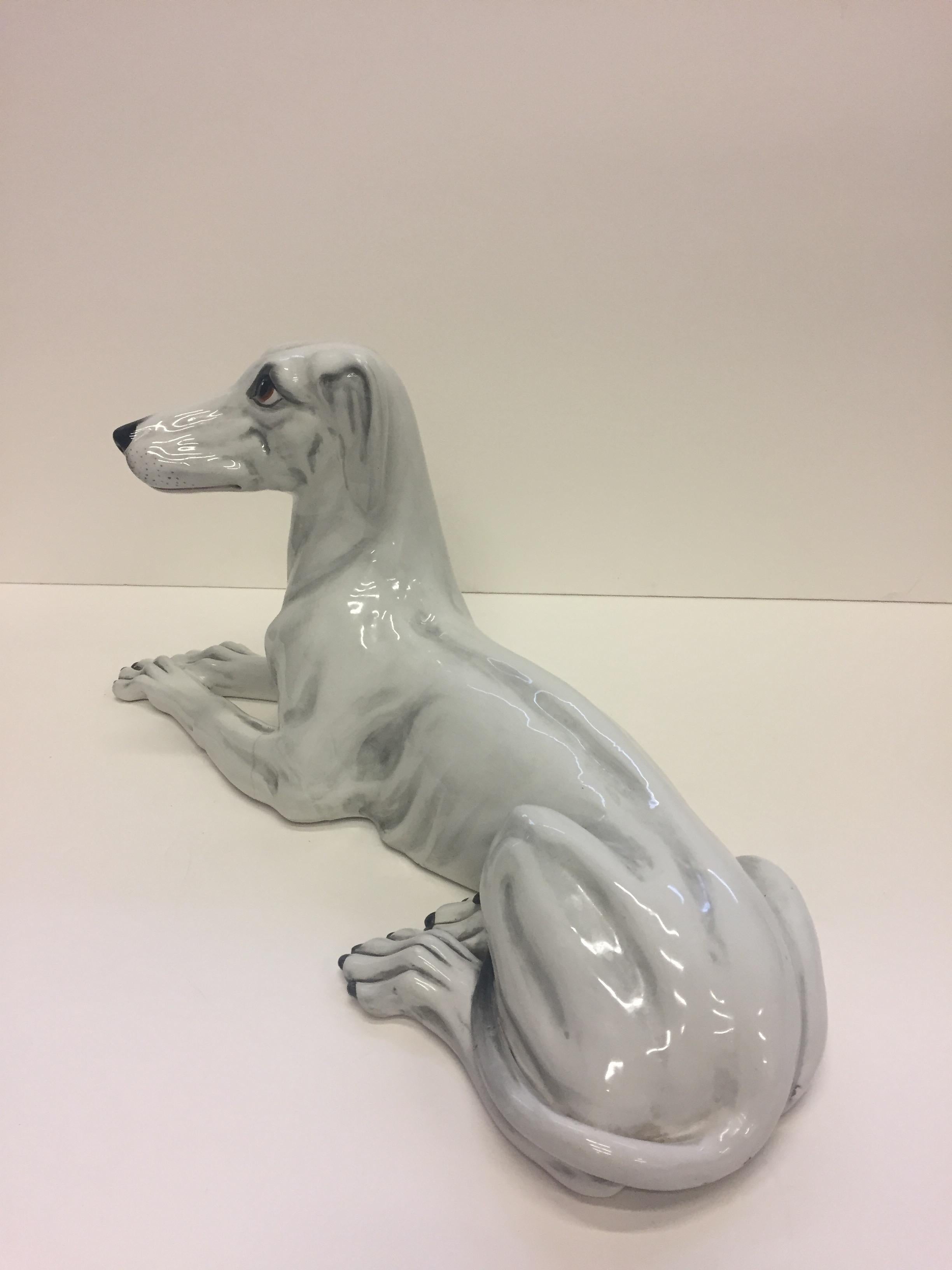 grey and white italian greyhound
