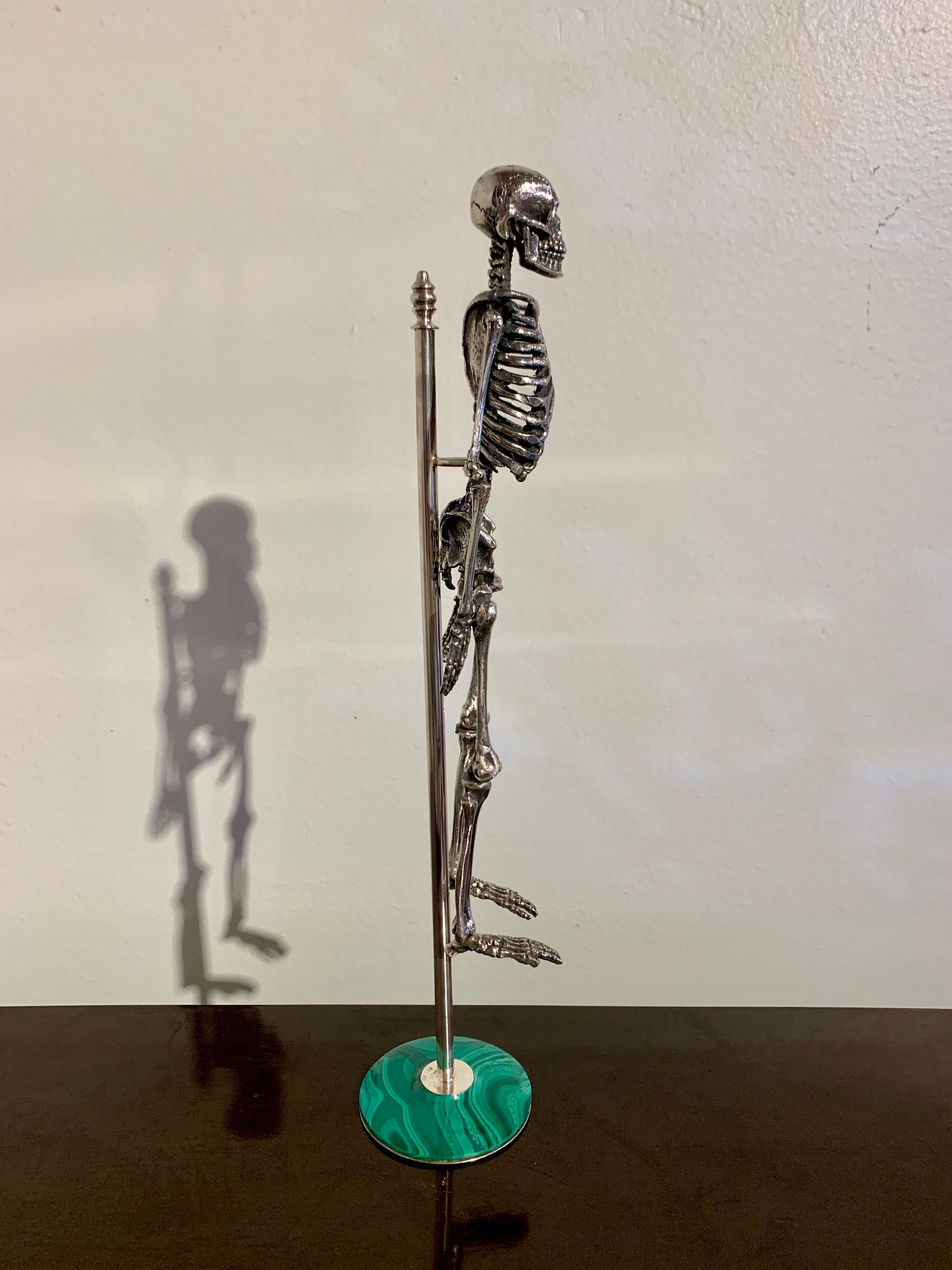 gibbon skeleton