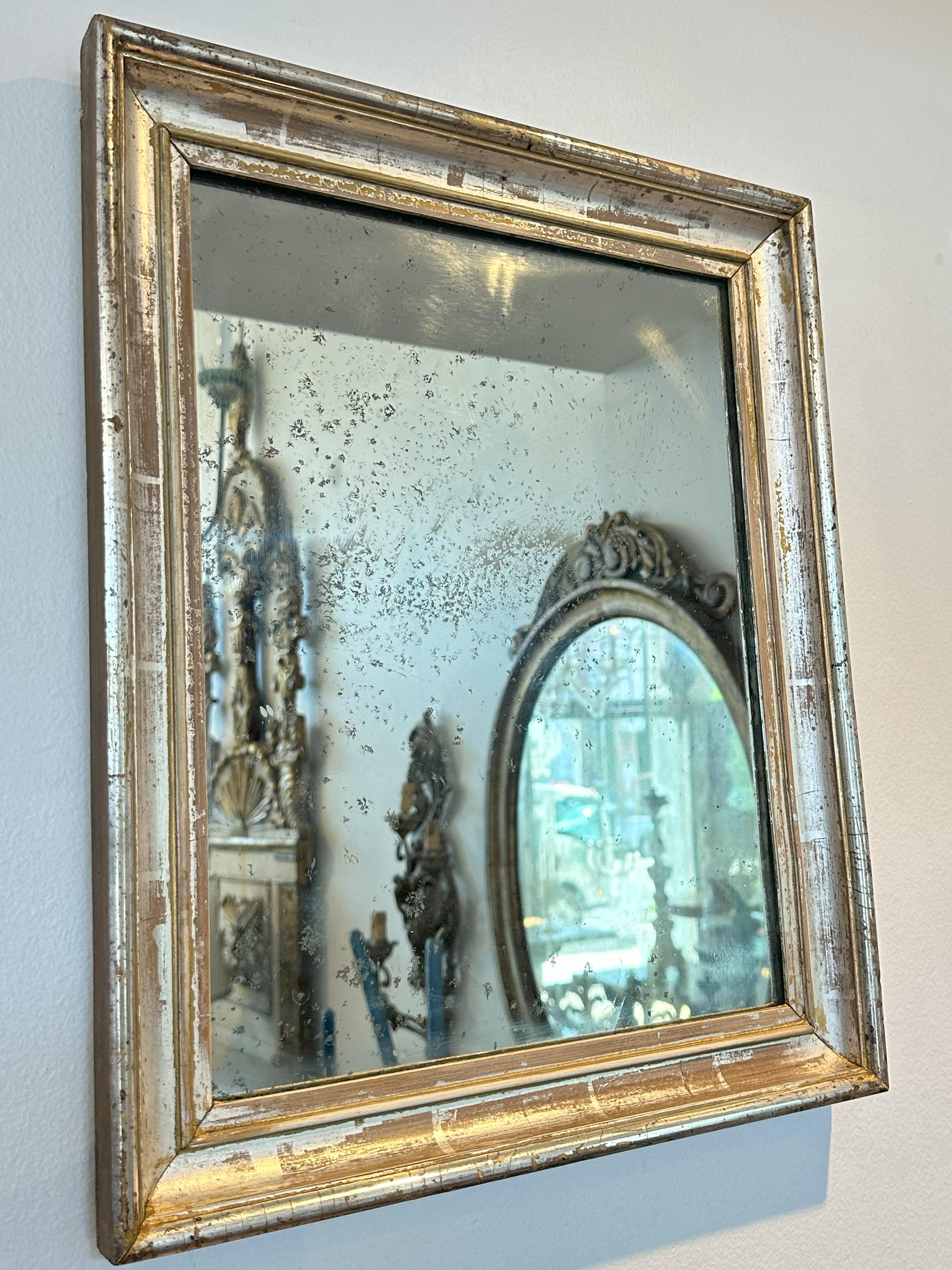 Each rectangular plate within a carved Silver giltwood frame 