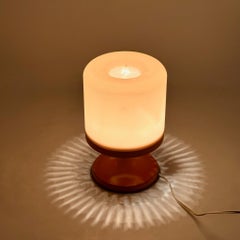 Italian Space Age Table Lamp in Orange Plastic by Marina Malabotti