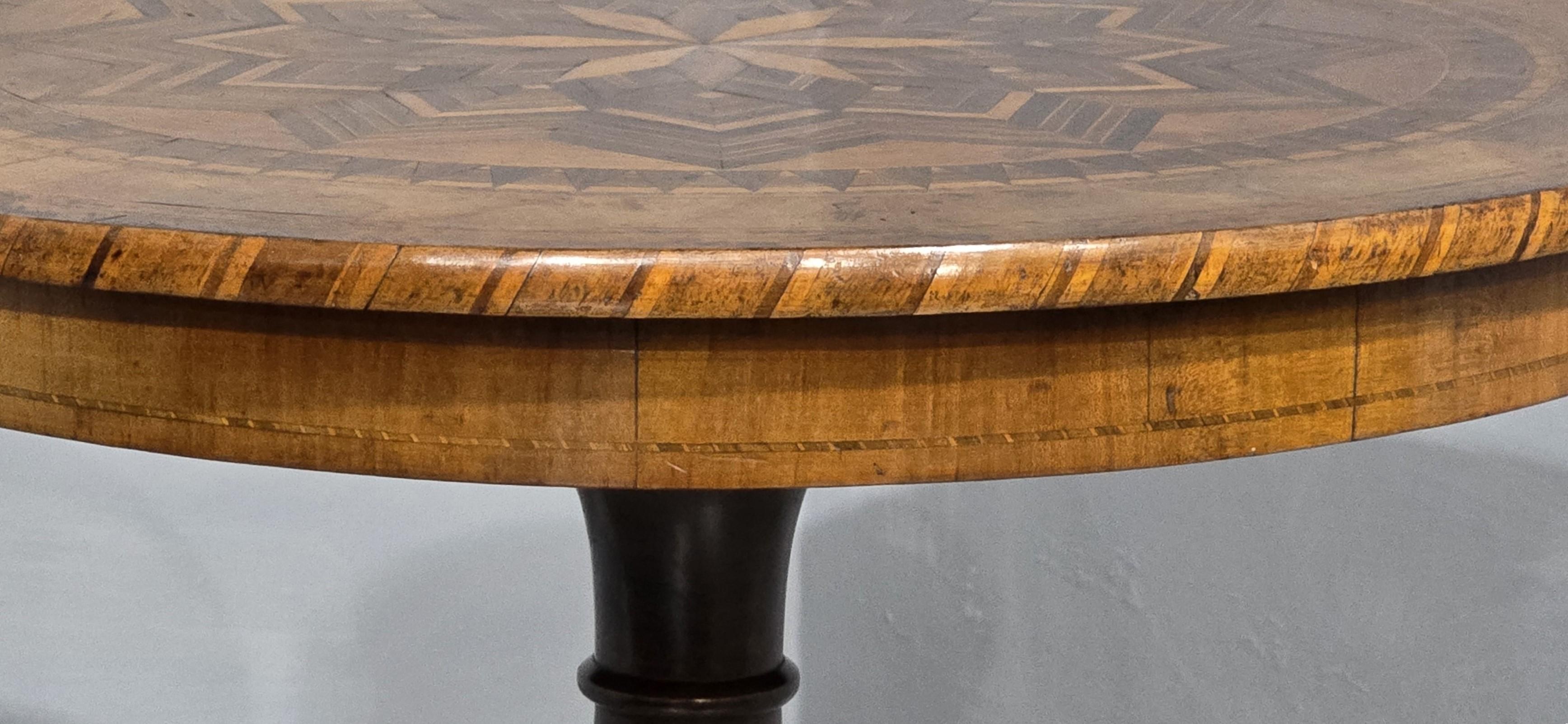 Noyer Table à spécimens italienne en vente