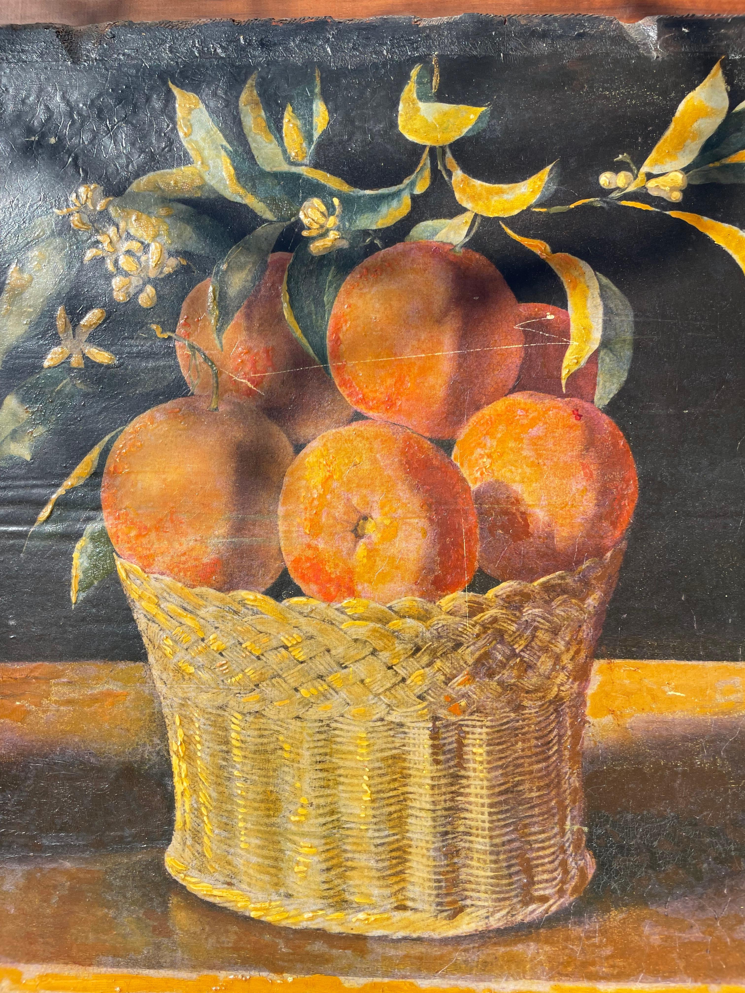 Italienisches Stillleben „Citrus“ Öl auf Holzplatte (Renaissance) im Angebot