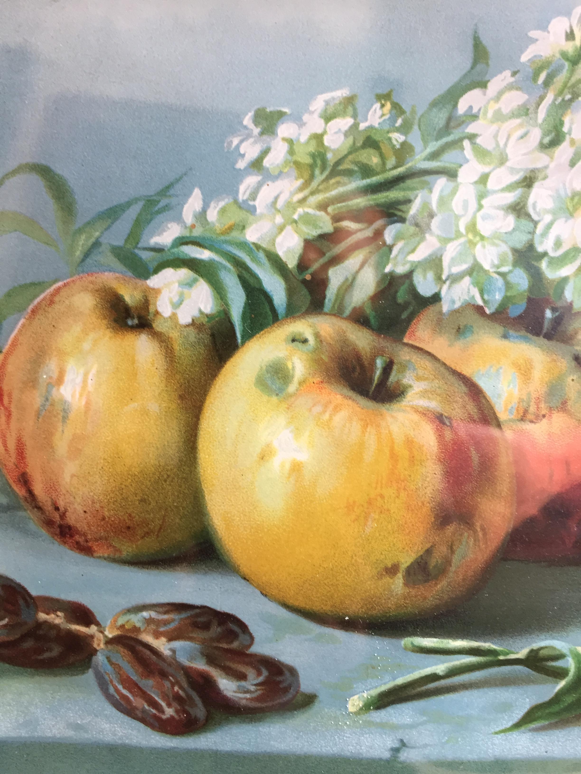 Lithographie italienne du début du XXe siècle, coloriée à la main par Giuseppe Falchetti, représentant une nature morte de fruits et de fleurs, encadrée horizontalement. Des pommes, des poires et des fleurs blanches sont disposées sur une table avec