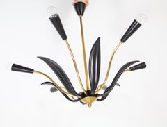 Italian Stilnovo Mid Century Modern Chandelier, black and golden brass, 1950's