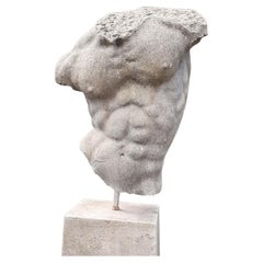 Italian Stone Sculpture of Classical Torso  with Base