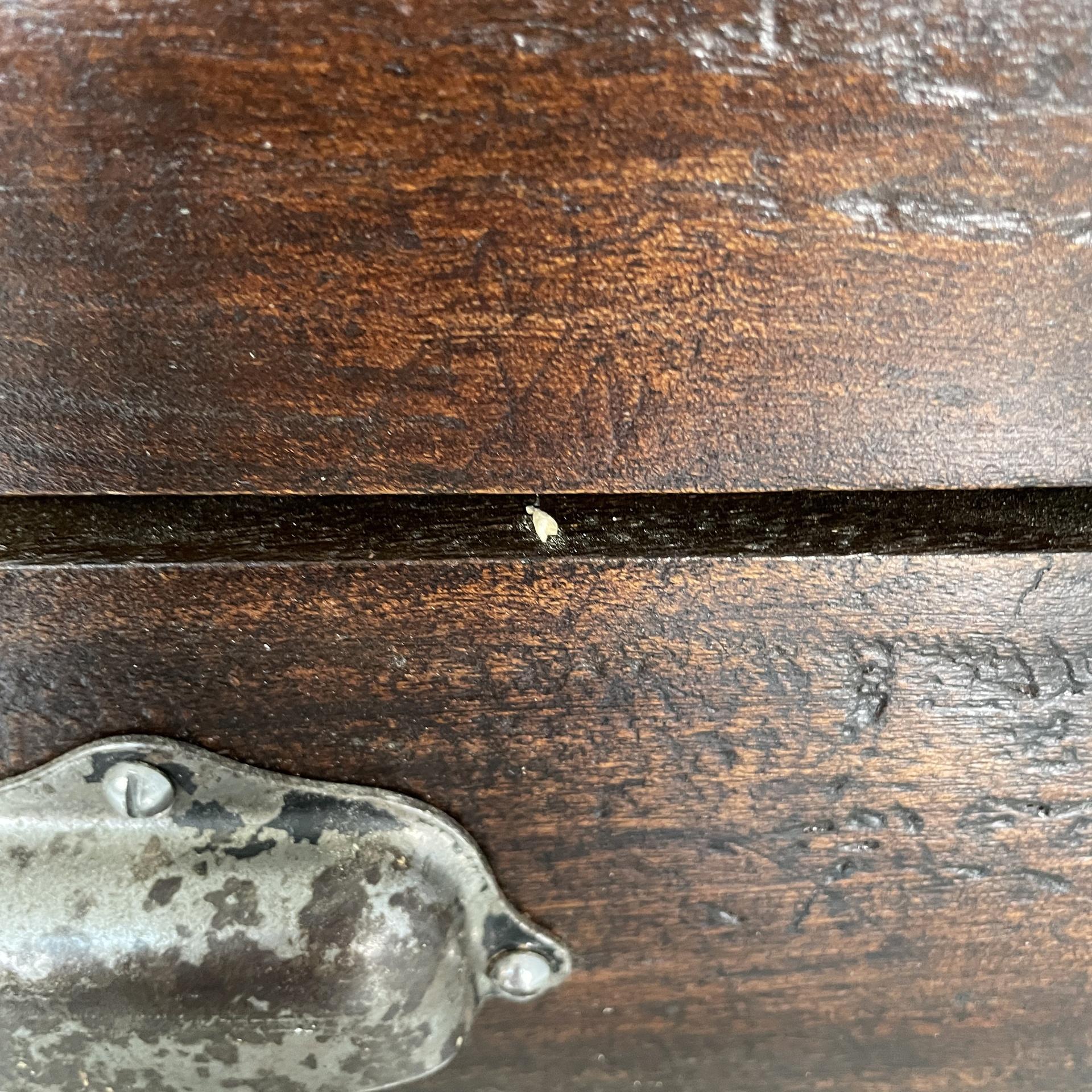 Cassettiera alta italiana in legno con maniglie in metallo, anni '30 in vendita 7