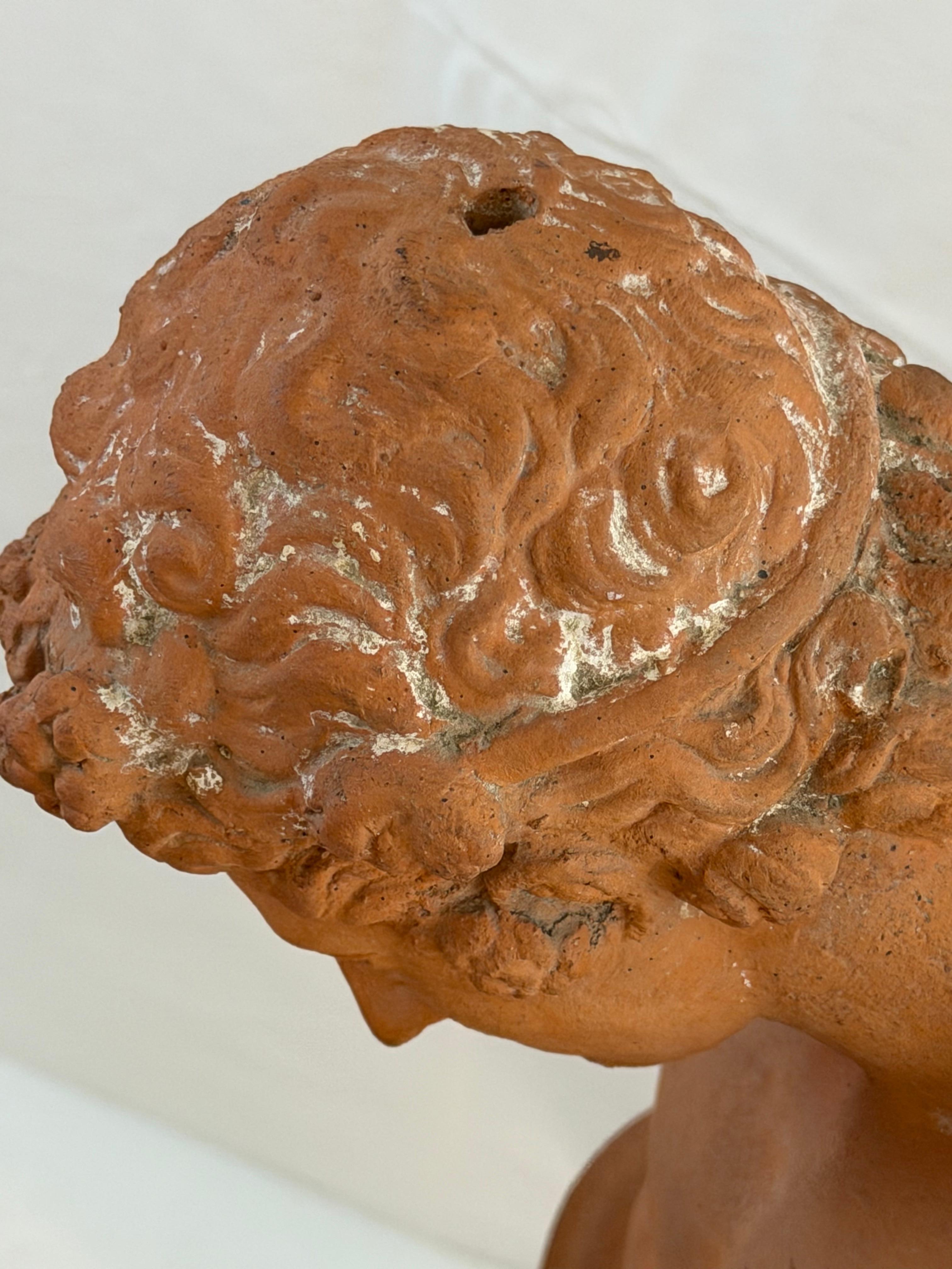 Figura maschile classica in terracotta italiana, 1900 circa in vendita 6