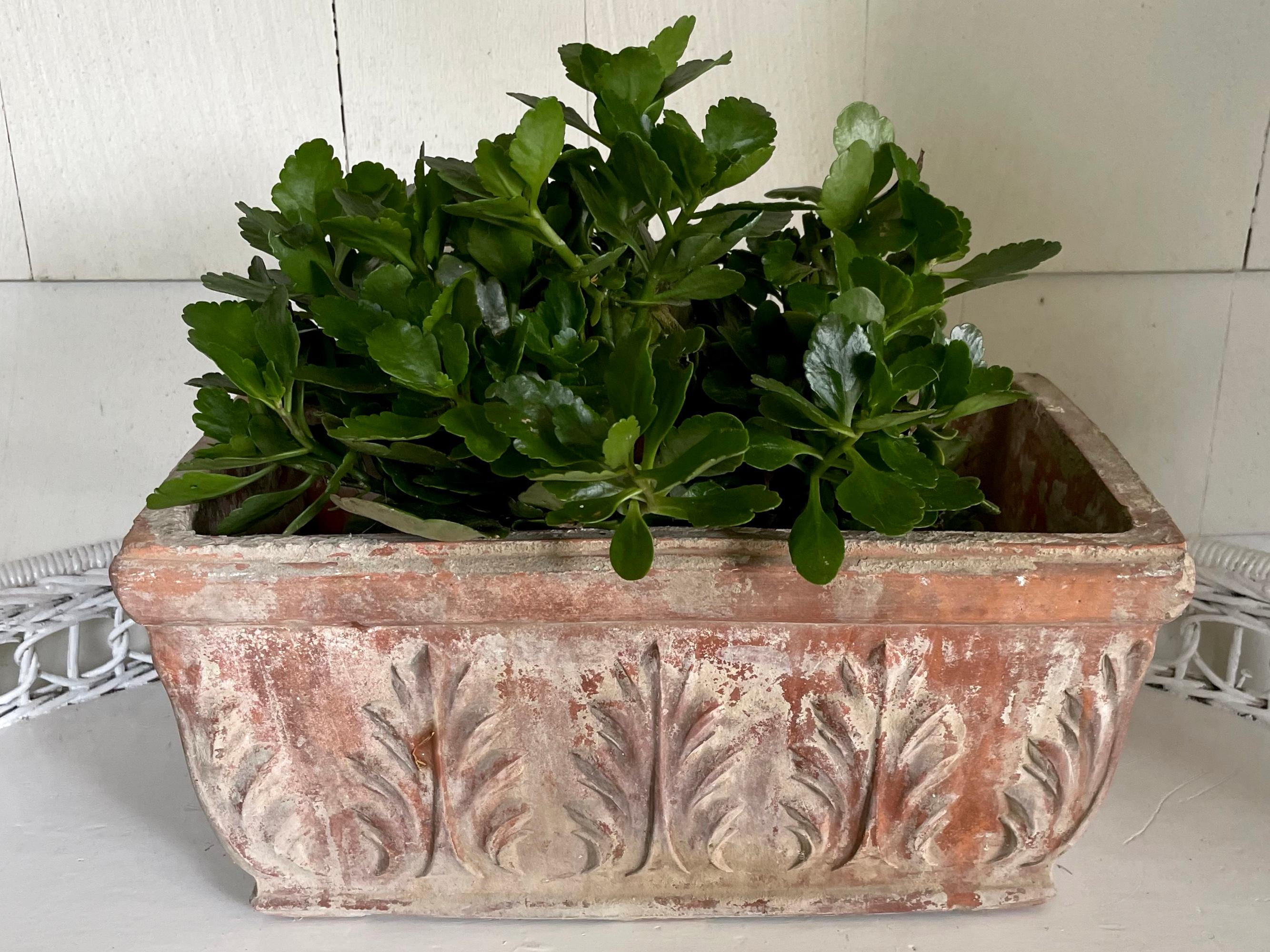 Italian terracotta planter. Vintage acanthus leaf rectangular cachepot planter with great patina and scale. Italy, 1940’s. $950
Dimensions: 14.75