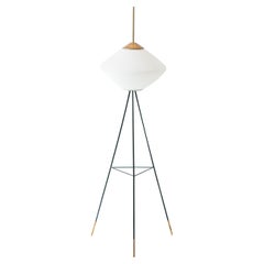 Italian Tripod Floor Lamp in Brass and Opaline Glass, 1950s