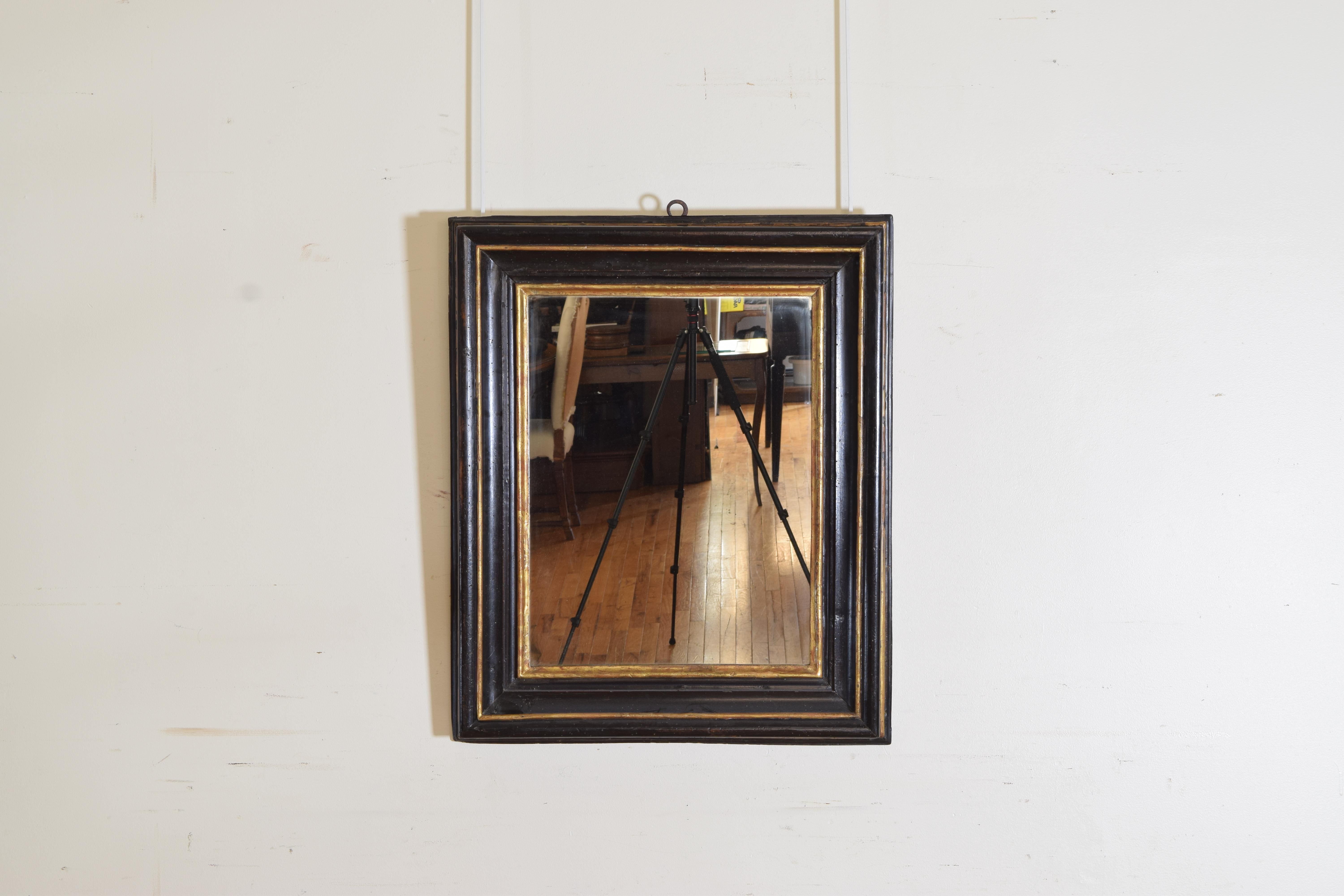 Having a raised inner section and a deep concave towards the rear and slightly wider outer section this mirror is ebonized with a gilded central molding and a gilded rabbet, the mirrorplate is modern.