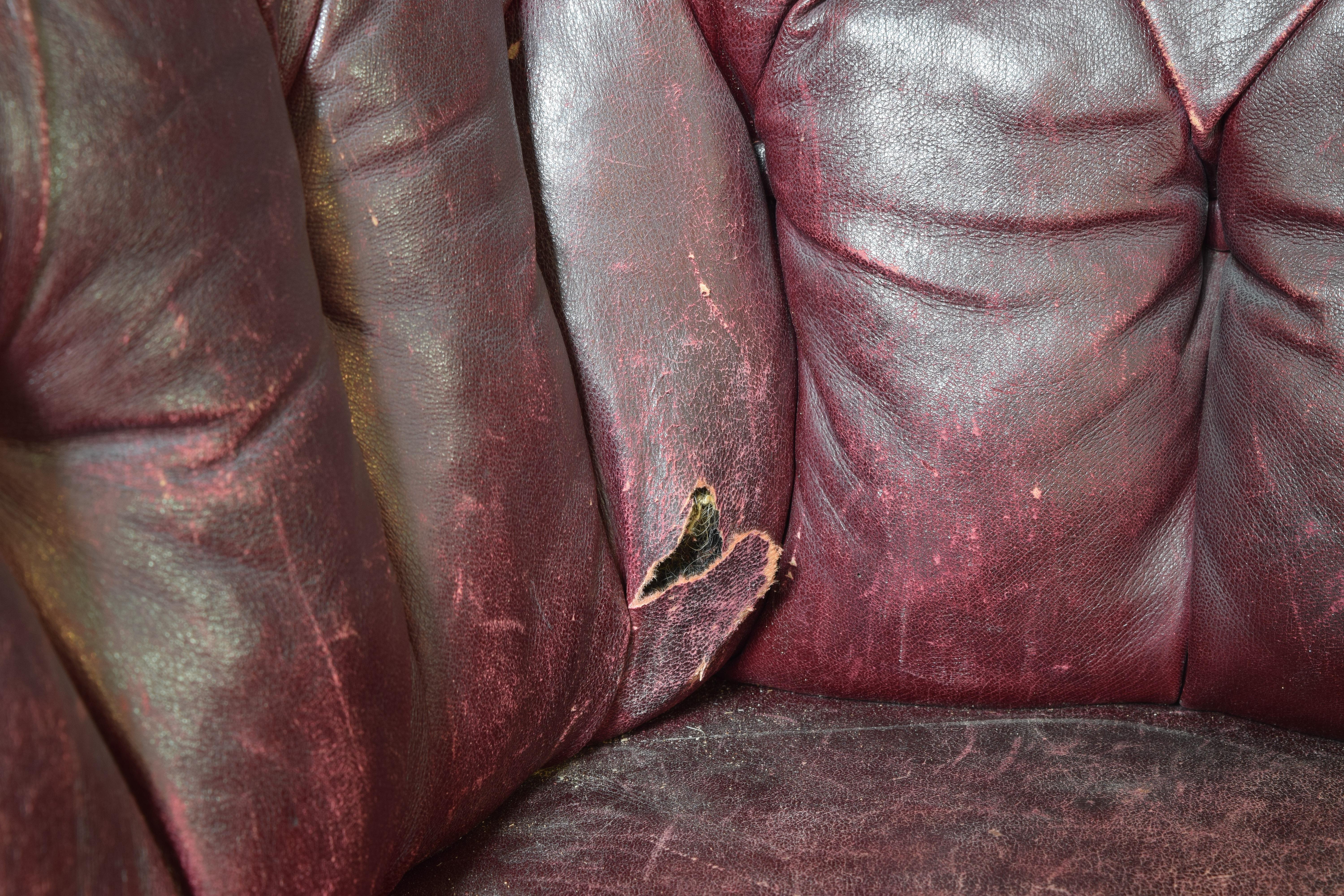 Italian Tufted Leather Upholstered Chesterfield Sofa, late 19thc For Sale 4