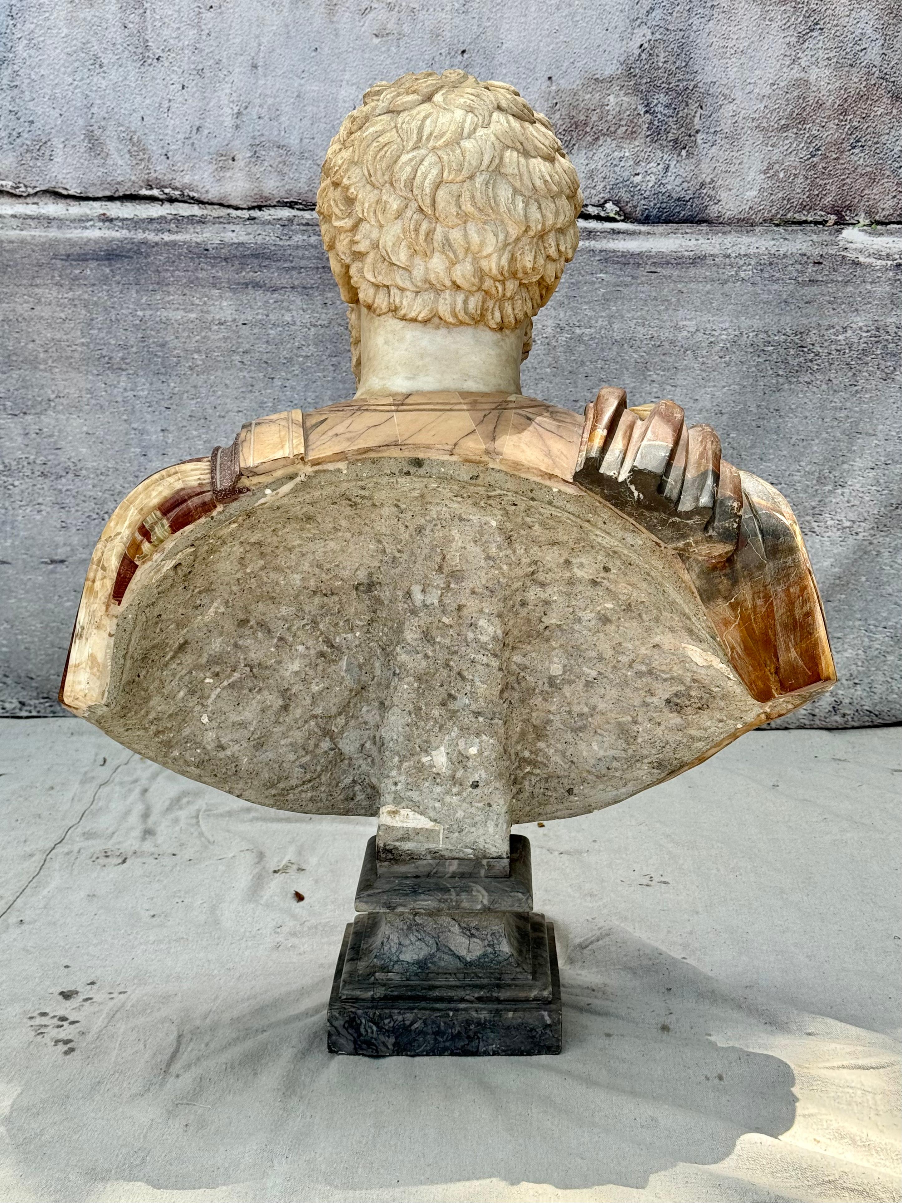  Italian Varicolored Marble Bust Of A Roman Emperor  For Sale 7