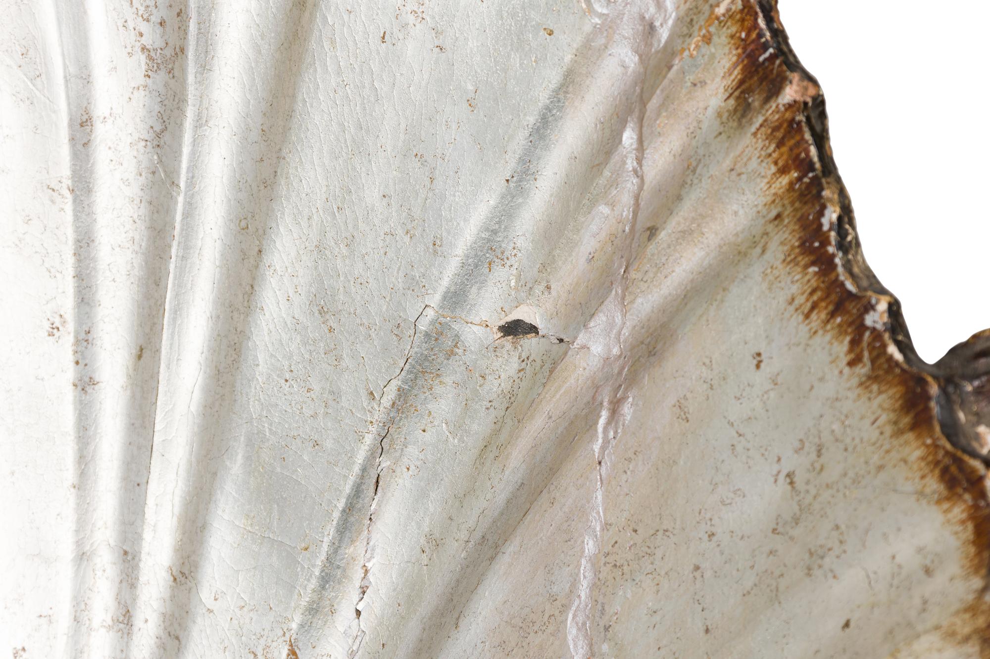 Italian Venetian Grotto Seashell Settee For Sale 1