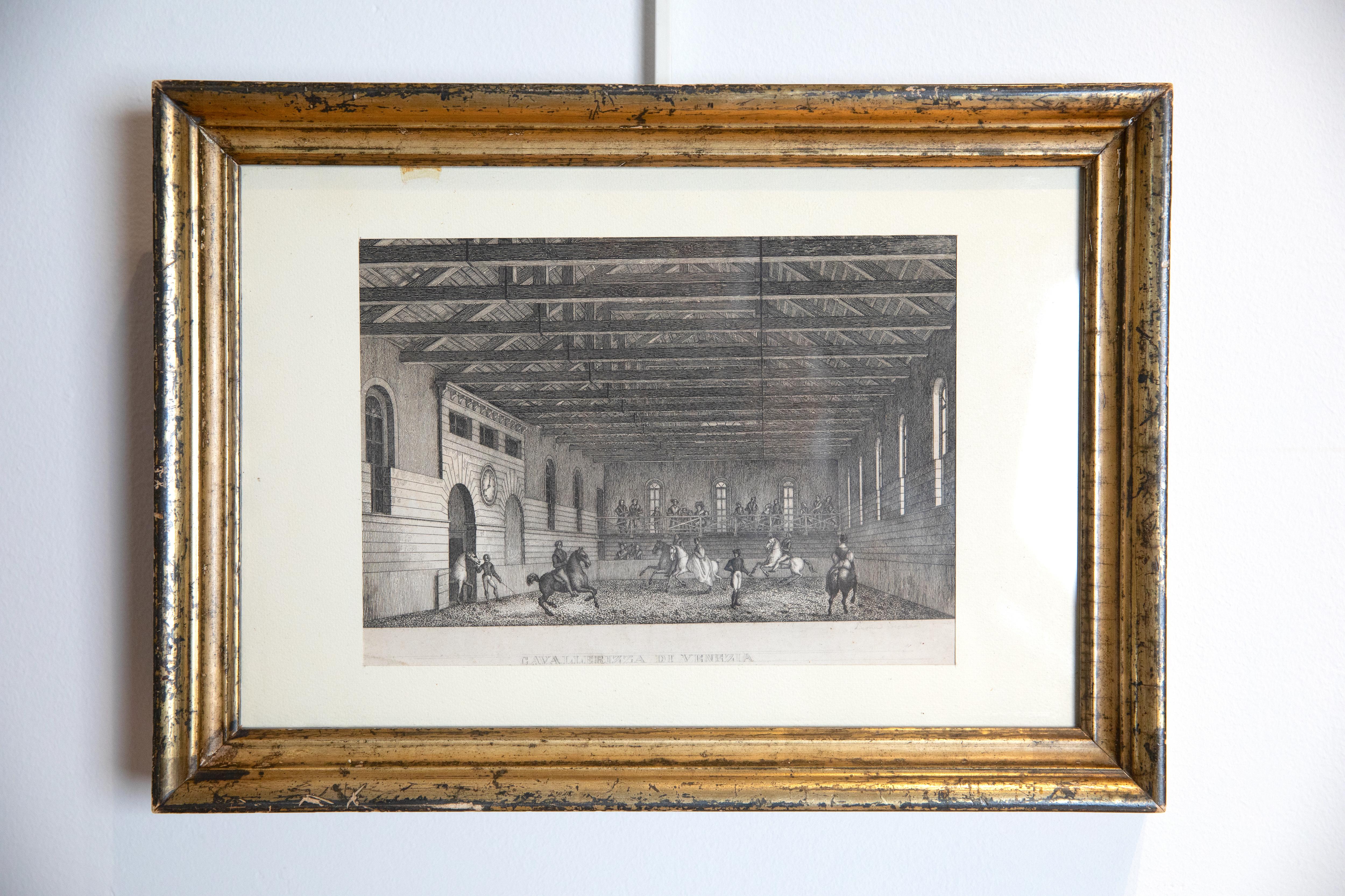 Italienisch, Venezia, gerahmte Gravur aus vergoldetem Holz, „Cavallerriza Di Venezia“, um 1825 (Neoklassisch) im Angebot