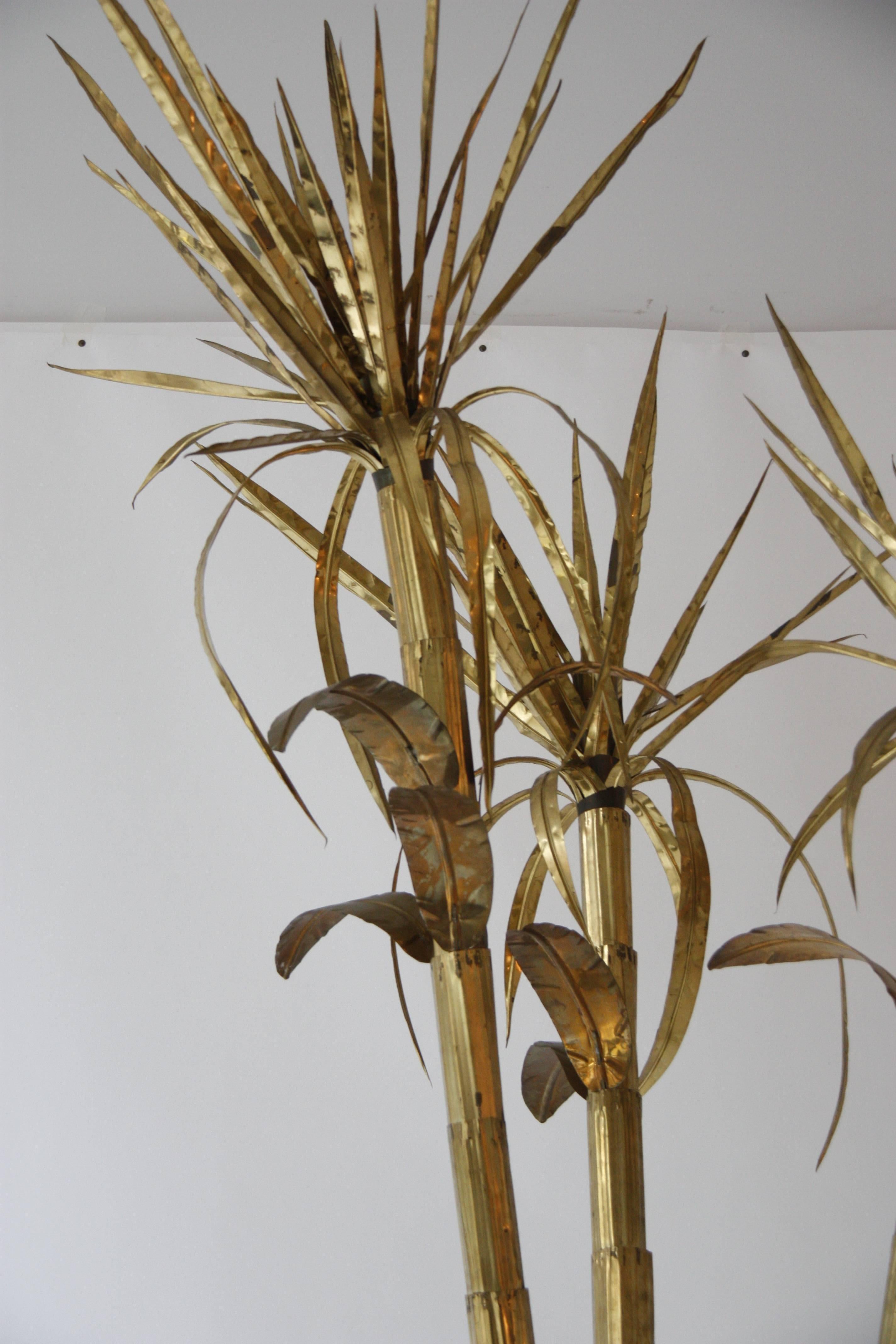 Vintage high palm in brass with thin leaves attributed to Tommaso Barbi, Italy, circa 1970.