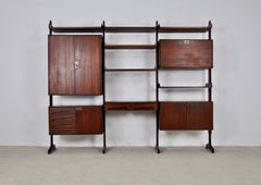 Italian Wall Unit by Vittorio Dassi for Dassi, 1950s