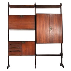 Italian Wall Unit by Vittorio Dassi for Dassi, 1950s