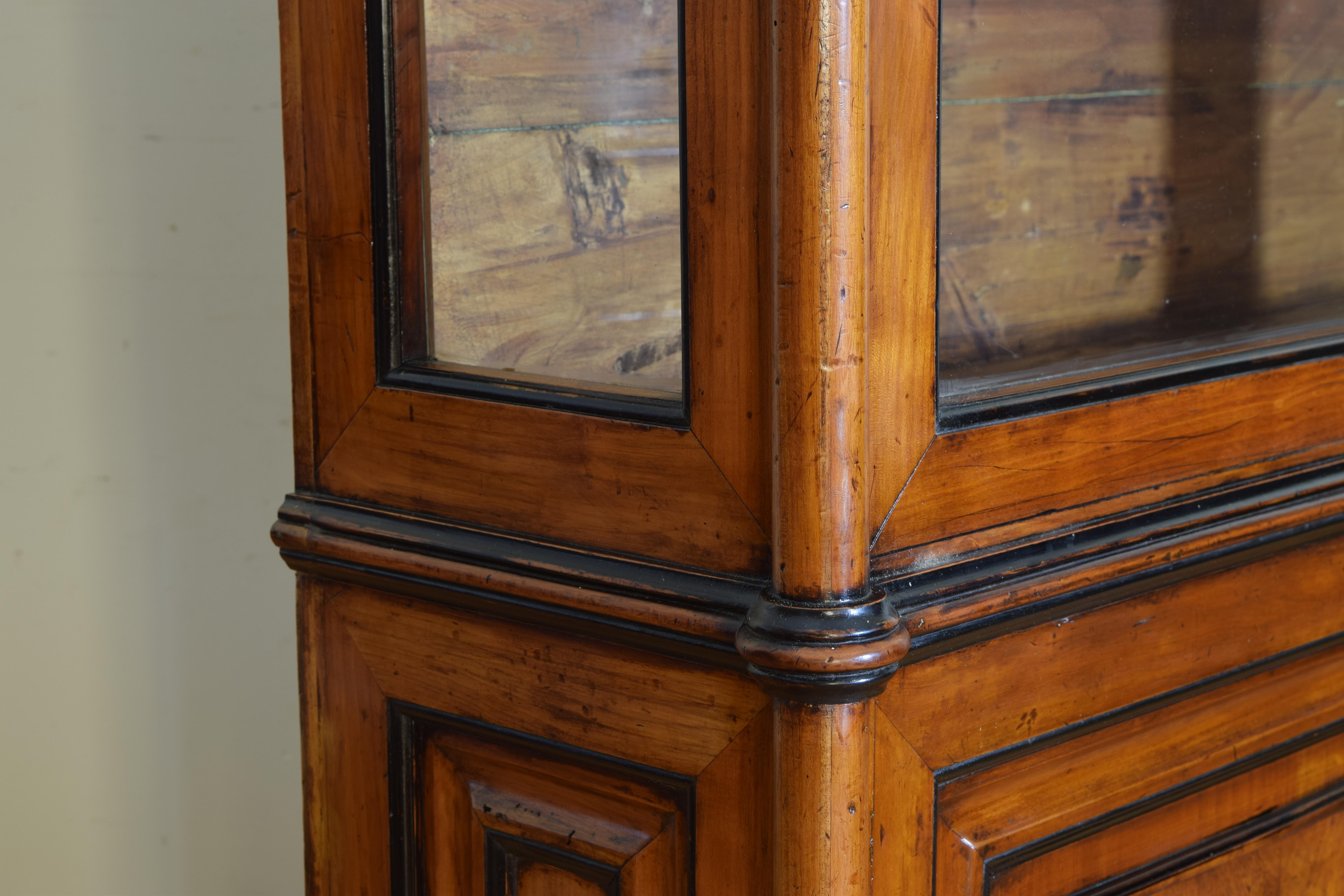 Italian Walnut and Ebonized Tall 2-Piece Bookcase Cabinet, Mid-19th Century 5