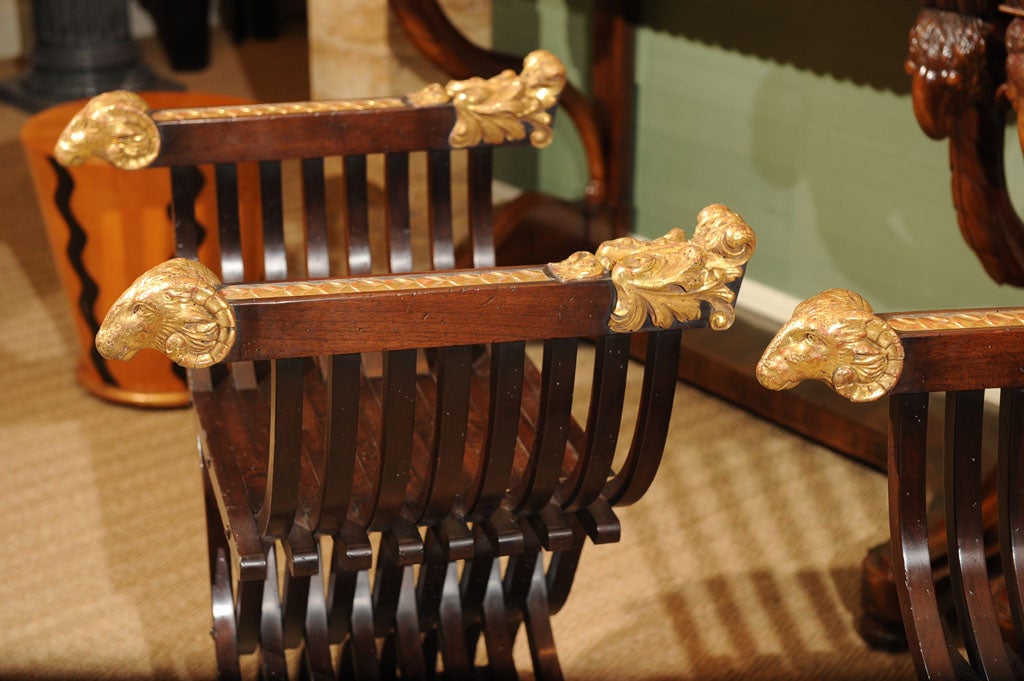 19th Century Italian Walnut Curule Folding Chair