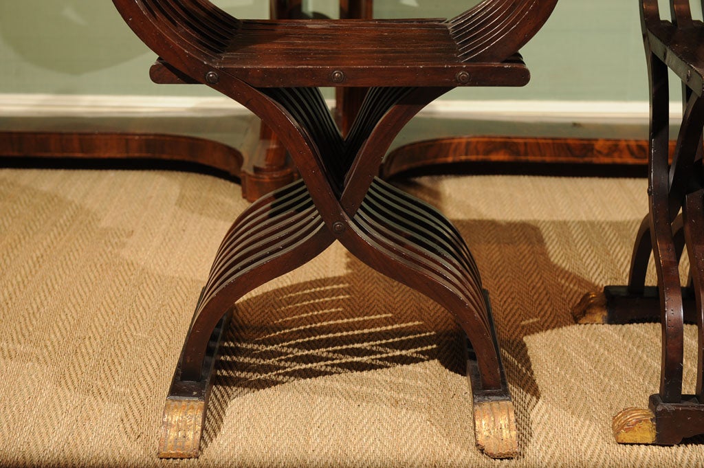 Italian Walnut Curule Folding Chair 2