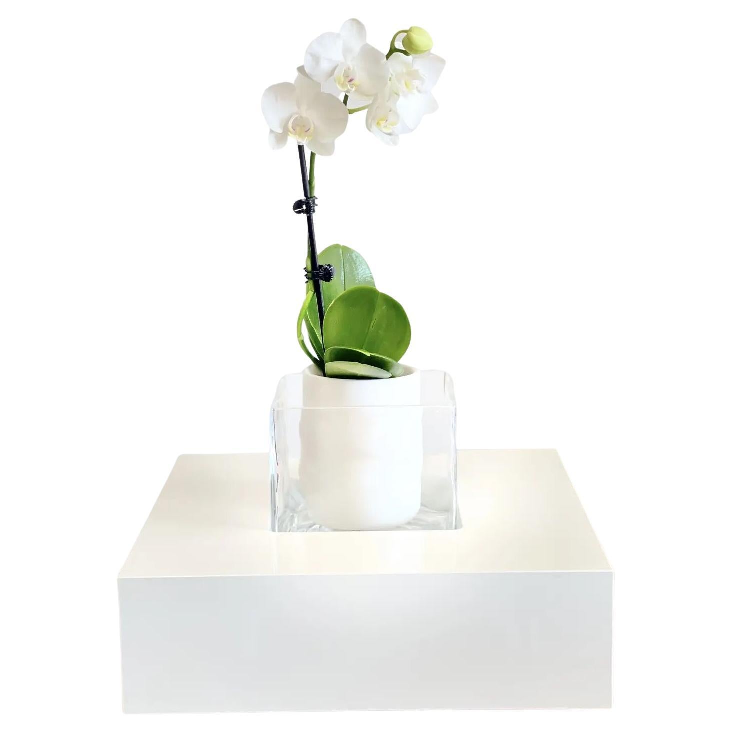 Italian White Lacquered Wood and Clear Glass Table Center Piece Vase For Sale