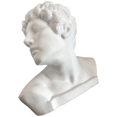 Italian White Marble Bust of David Sculpture Large