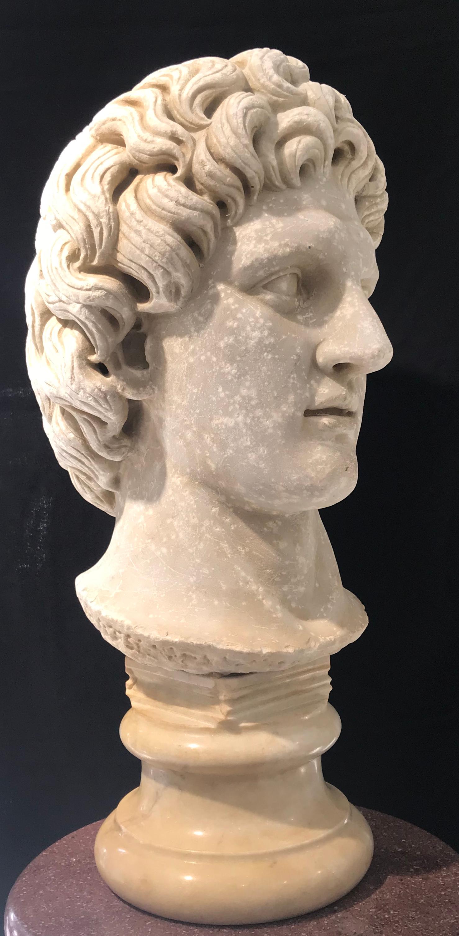 Italian White Marble Sculpture of Alexander The Great Classical Greek  5