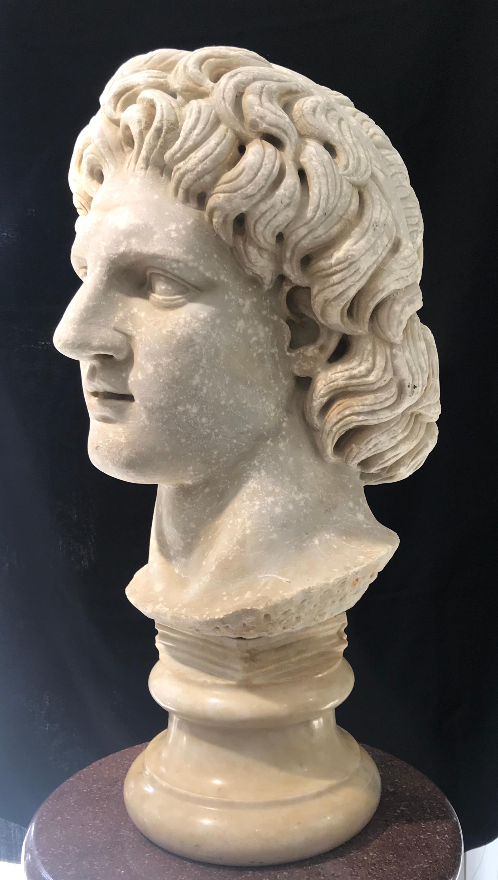 Italian White Marble Sculpture of Alexander The Great Classical Greek  11