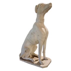 Whippet bianco italiano