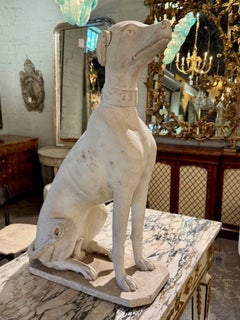 Italian Whitewashed Whippet
