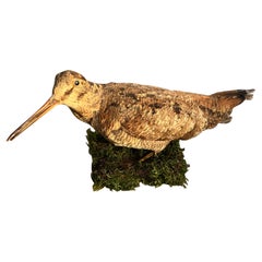 Italienische Waldschnepfe