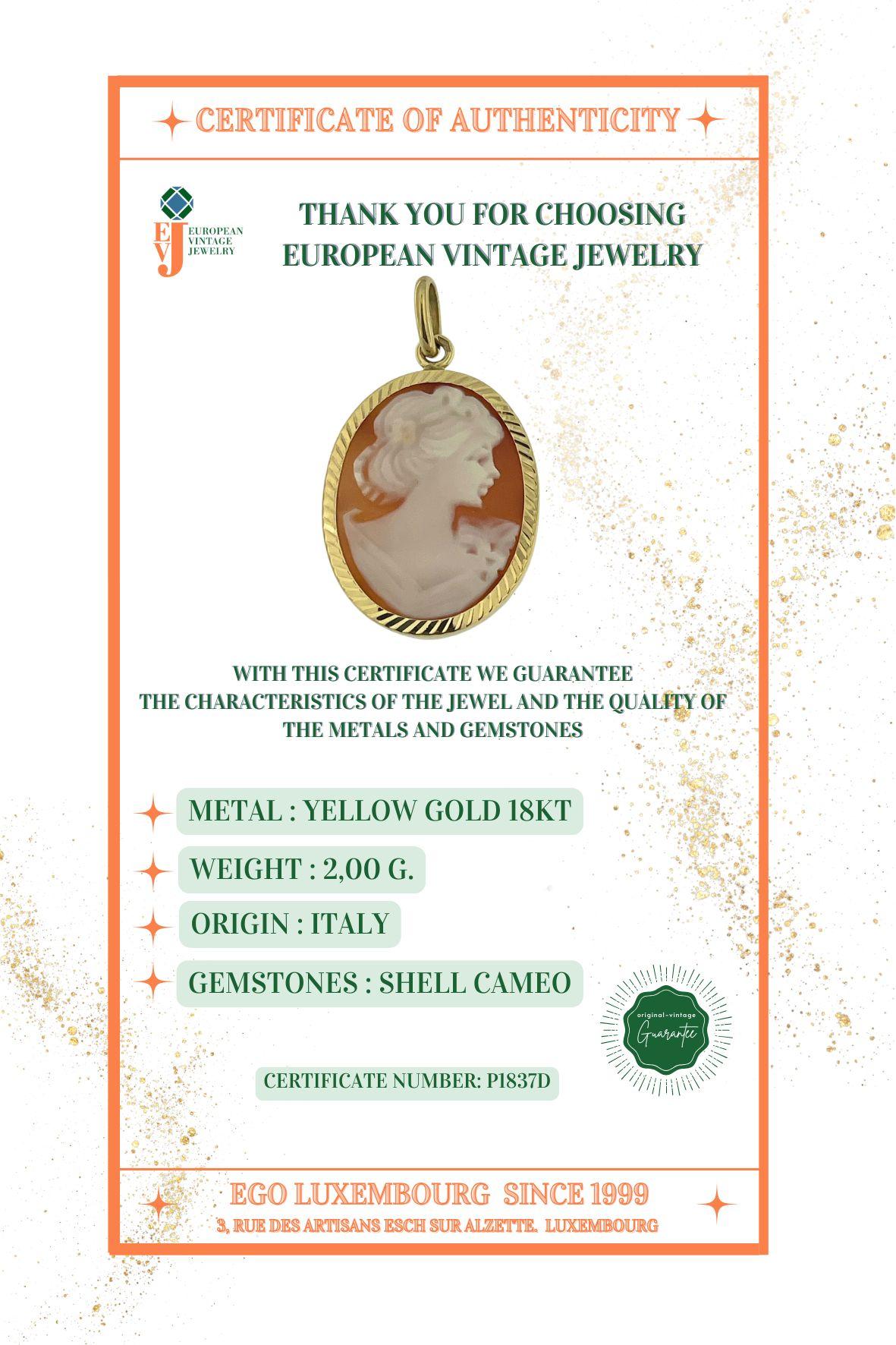 Italian Yellow Gold Pendant with Cameo For Sale 4