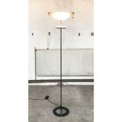 Italian Zen Terra Floor Lamp by Ernesto Gismondi for Artemide, 1980s