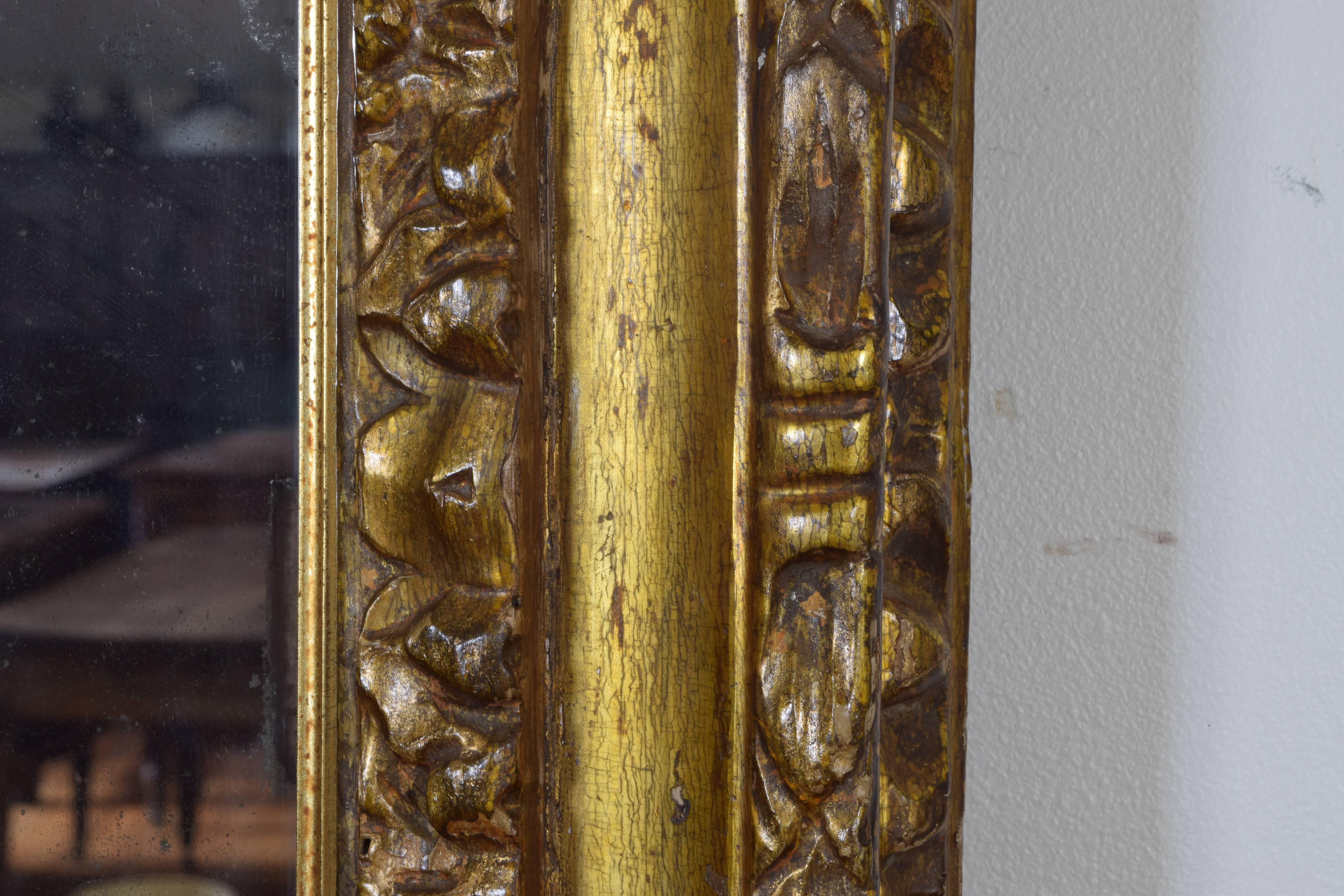 Italian, Piemontese, Carved Giltwood Mirror, Early 18th Century 2