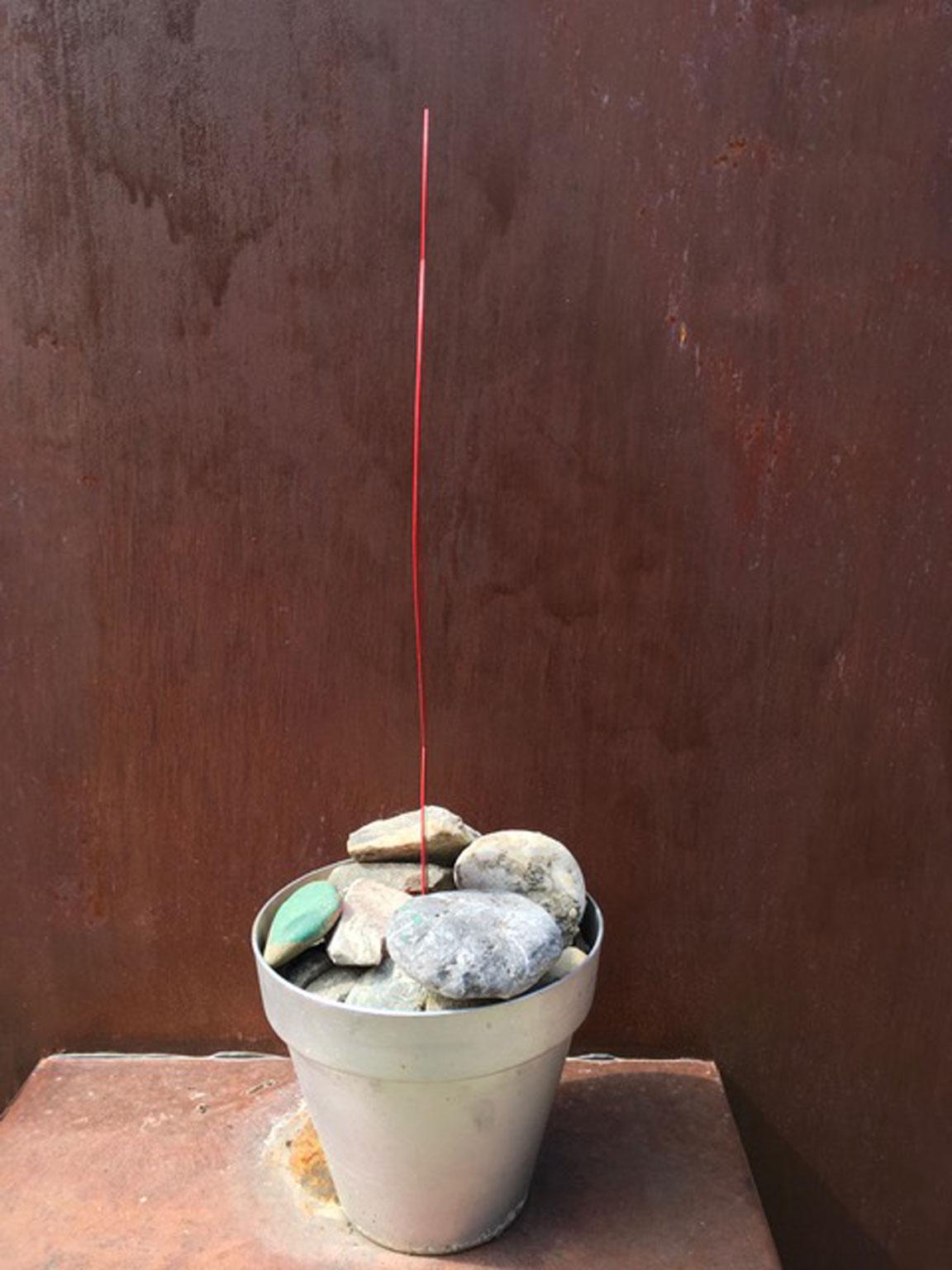 Cactus rouge en fer forgé Italie pour décoration de jardin Neuf - En vente à Brescia, IT