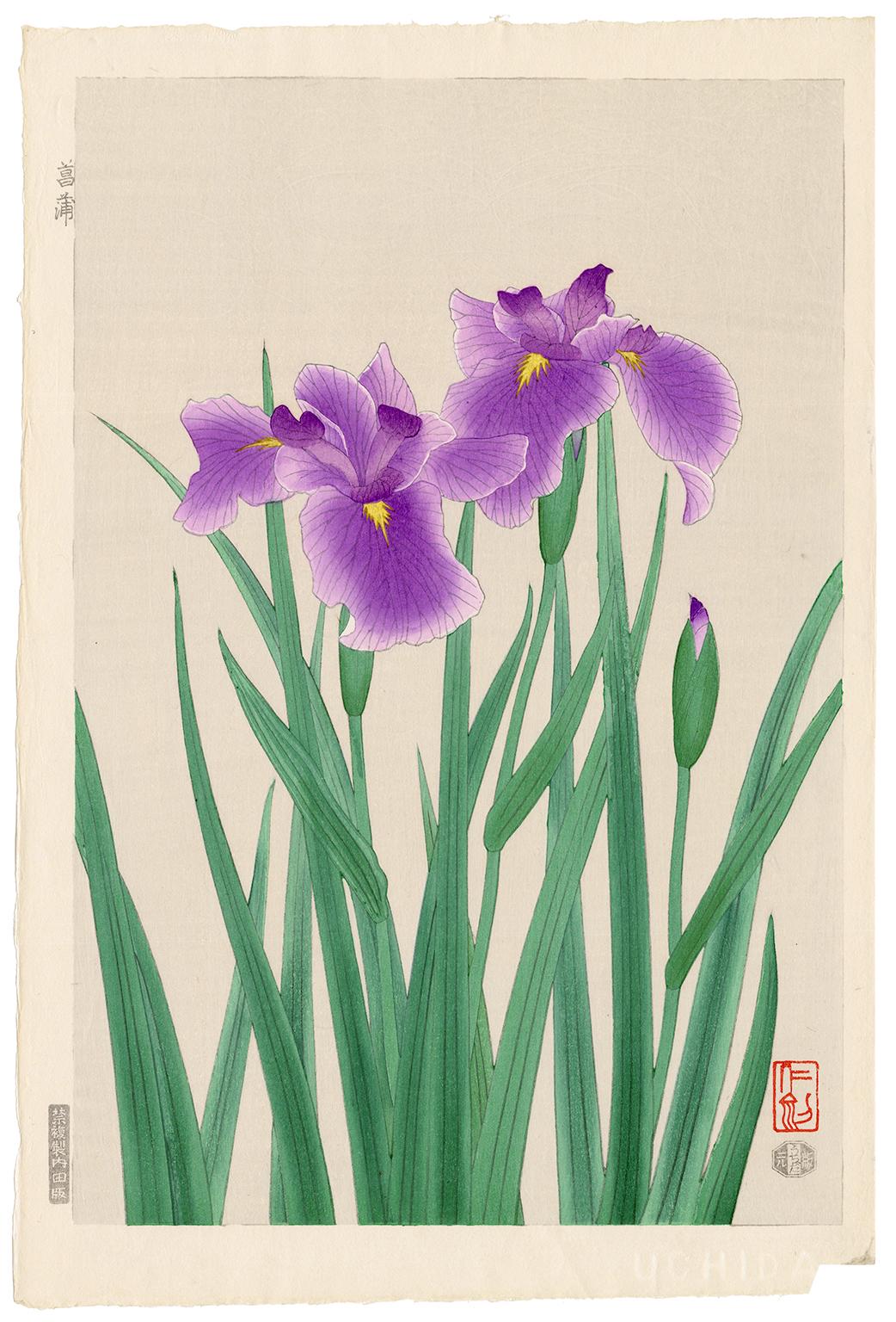 Ito Nisaburo  Figurative Print - 'Irises' — Mid-century Japanese Woodblock