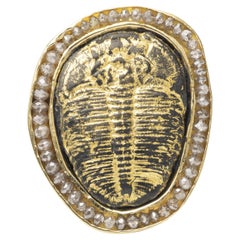 18K "It's All Carbon to Me" Trilobite and Diamond '3.75 CTW' Brooch / Pendent